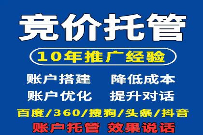 企业SEM服务实战案例解析